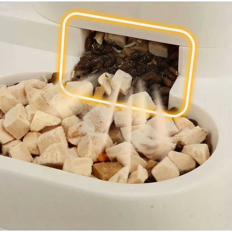 2-in-1 Automatic Feeder Dog Cat Food Bowl and Water Feeding Device Pet Large Food Dispenser Puppy Pet Kitten Bowl Accessories