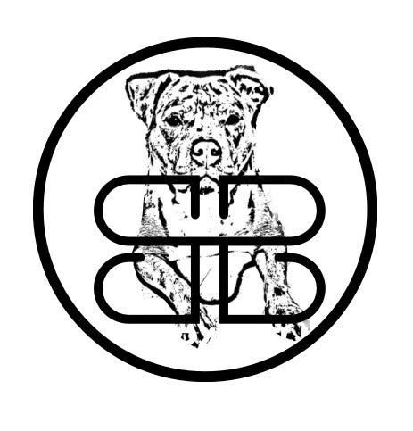 Top Pet Products of 2025: A Comprehensive Guide