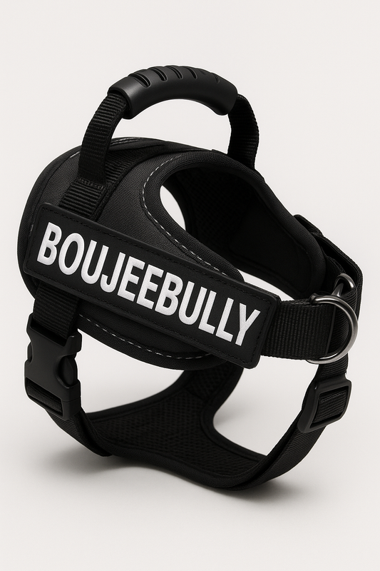 2 PCS Personalized Dog Name Labels Colorful Pattern Pet Harness Custom Tag Removed Stickers ID Dog Chest Strap Vest Collar Tag