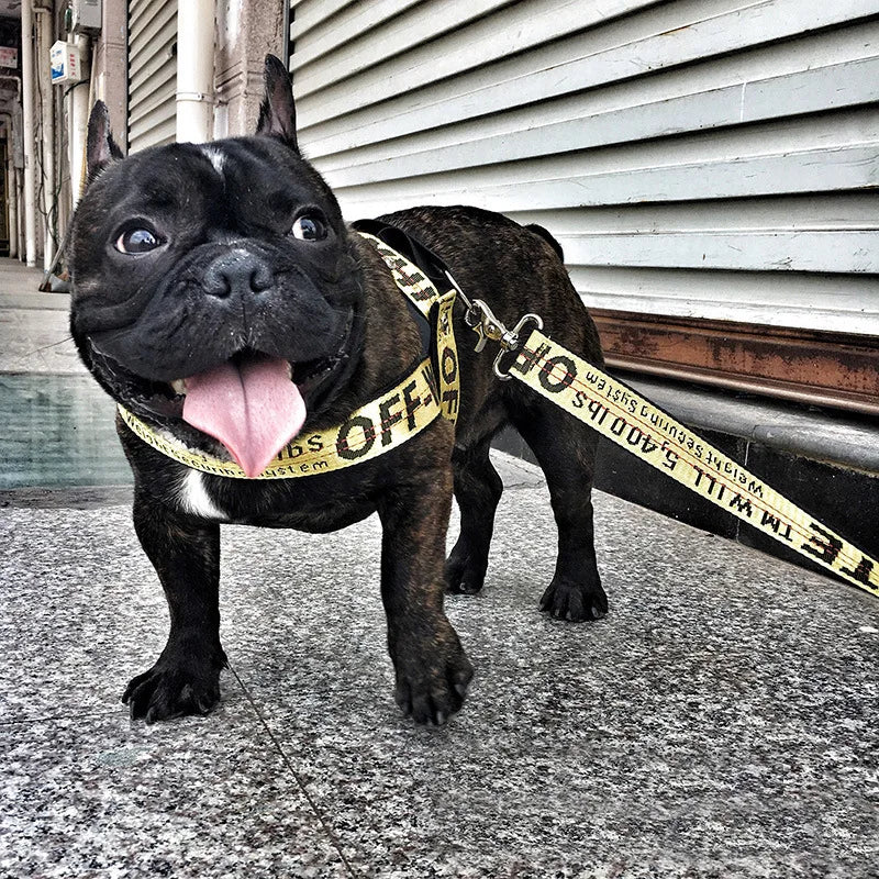 Fashion Dog Collar Leash Set Gold Chain Nylon Pets Dog Collar Leash Long Rope Lettered Collar Perro Collar For Pitbull Puppy Dog