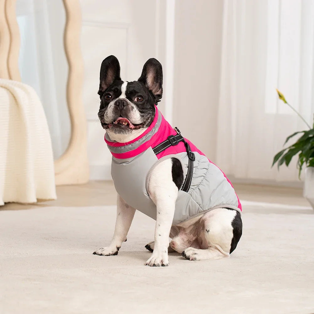 Waterproof Pet Jacket With Harness Winter Warm Dog Clothes for Small Large Dogs Labrador Coat Chihuahua French Bulldog Outfits