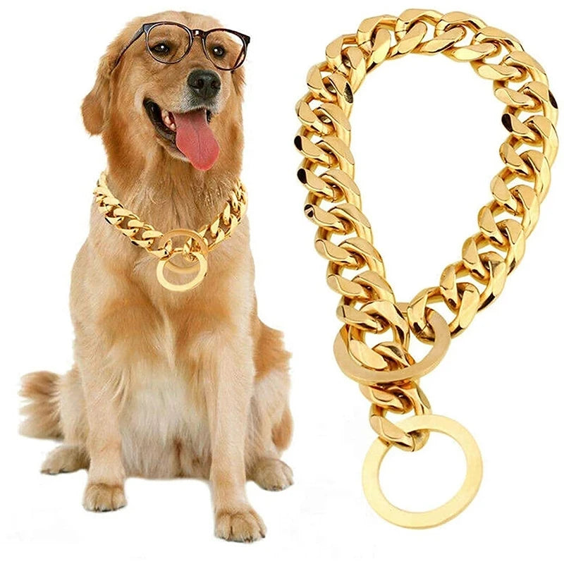 Gold Dog Chain, Stainless Steel Dog Collar Choker, Luxury Designer, Walking and Traning Metal Necklace for Small and Medium Dogs