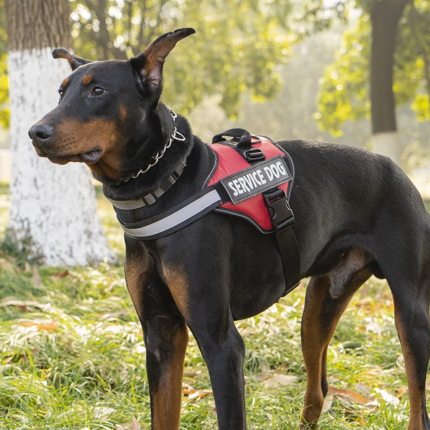 Chest Strap Dog Towing Rope Vest Medium and Large Dog Border Collie Golden Hair Bucket Explosion proof Flushing Dog Harness