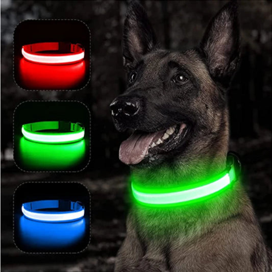 USB Rechargeable Luminous Collar Adjustable Led Glowing Dog Collar for Large Small Dogs Cat Night Light Collar Pet Safety Harnes